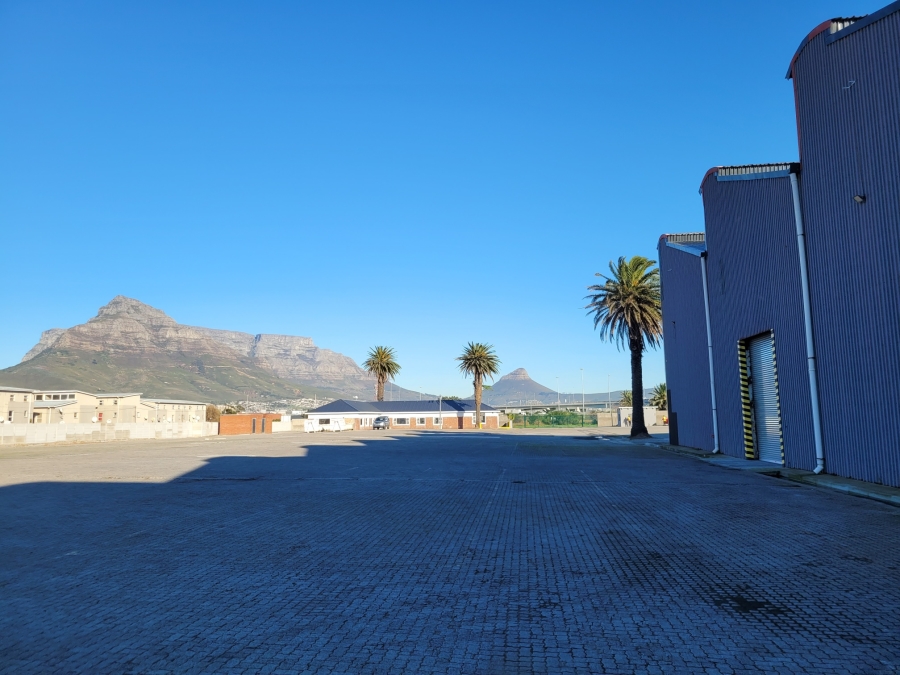 To Let Commercial Property for Rent in Maitland Western Cape